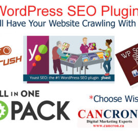 4 WordPress SEO Plugins That Will Have Your Website Crawling With Traffic